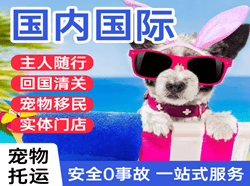 忻州五台山航空托运国际宠物托运 【国